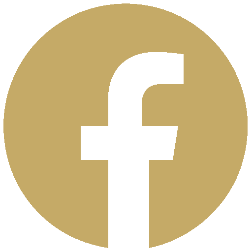 Logo_1 Agence Valknet Mulhouse - Technologie Facebook