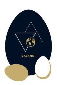Illustration représentant le logo de l’Agence Web Valknet dans un œuf, pour son article : Quoi de n’œuf chez Valknet ? › Suivez notre actualité !
